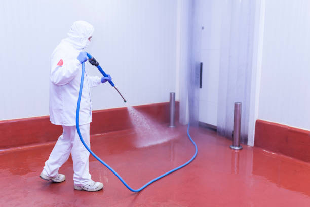 Best Concrete Sealing  in Stanton, TX